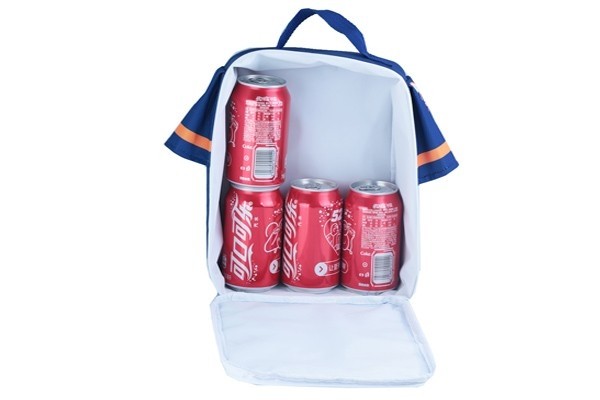 Lunch & Cooler bag
