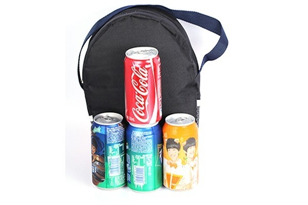 6 CAN Lunch & Cooler bag