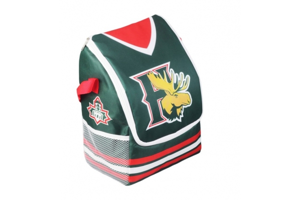 Cooler Bag